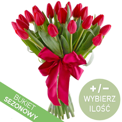 Czerwone tulipany od 15 do...